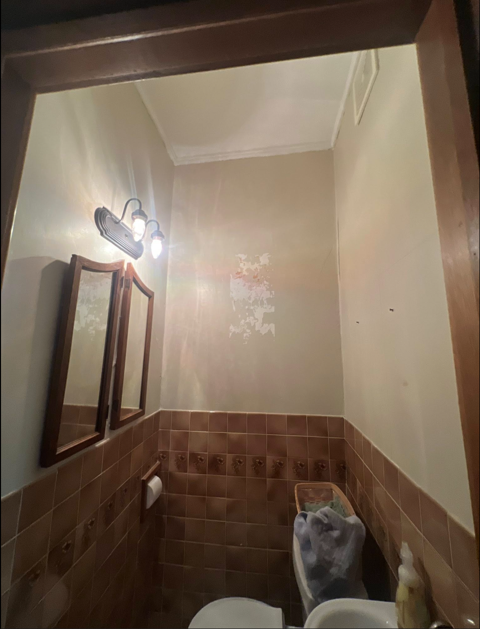 Bathroom before — peeling paint, dim lighting